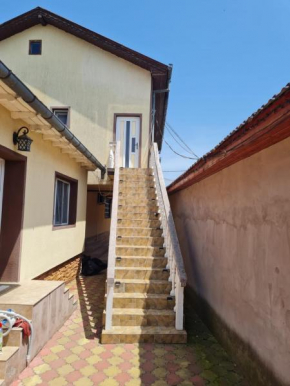 Casa Serban